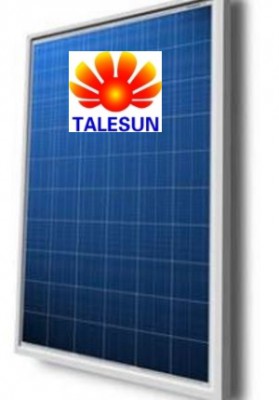 Солнечный модуль Talesun  TP660P-260W